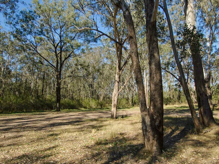 Scheyville National Park, Horseriding trails. Photo: John Spencer/NSW Government