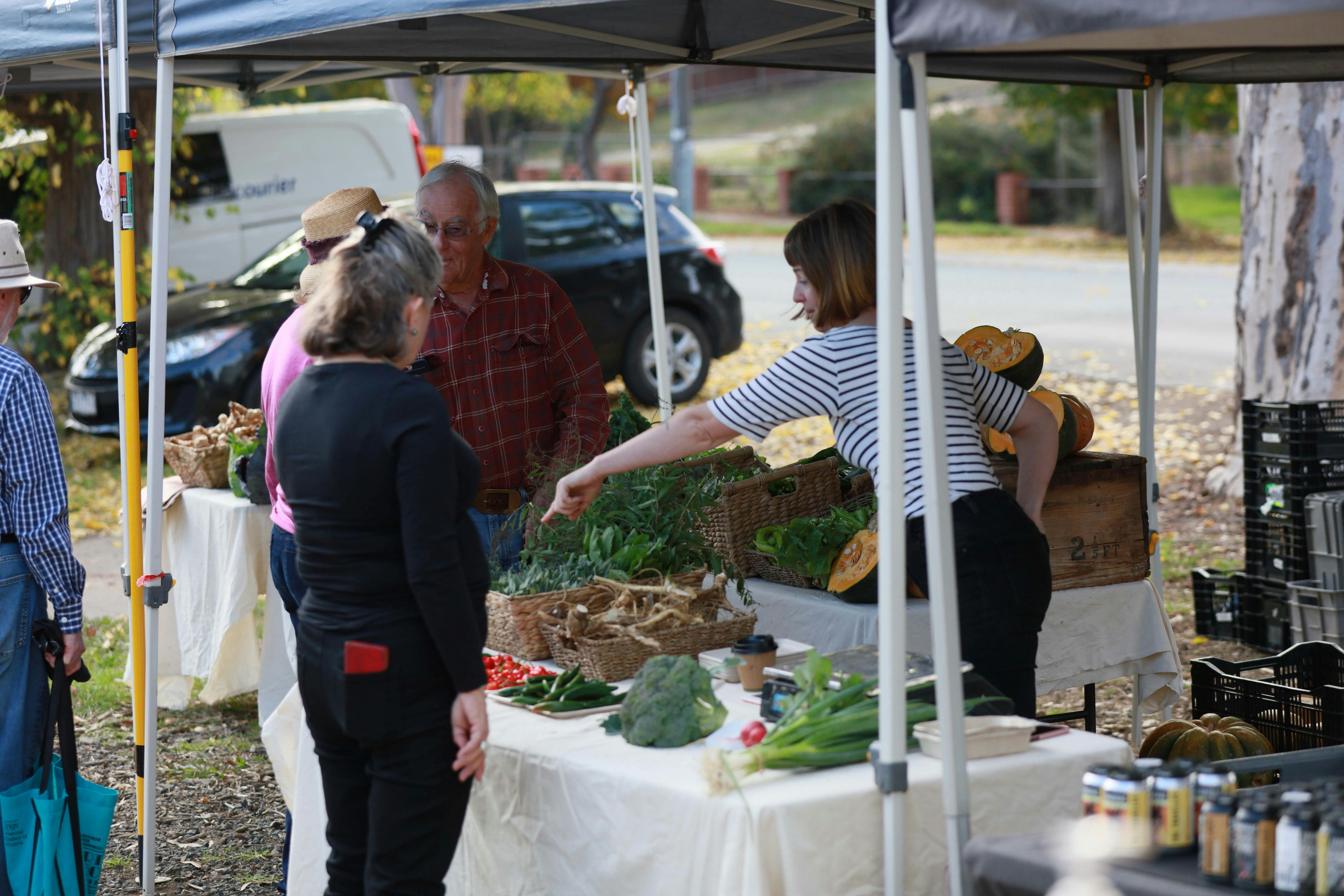 Chloe for Somerset heritage vegetables