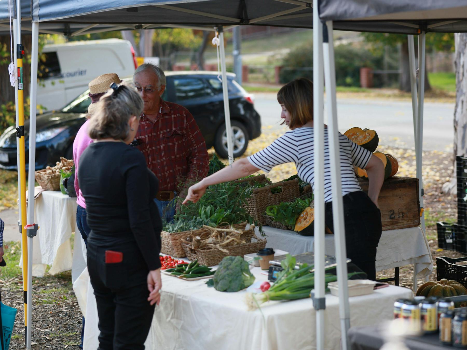 Chloe for Somerset heritage vegetables
