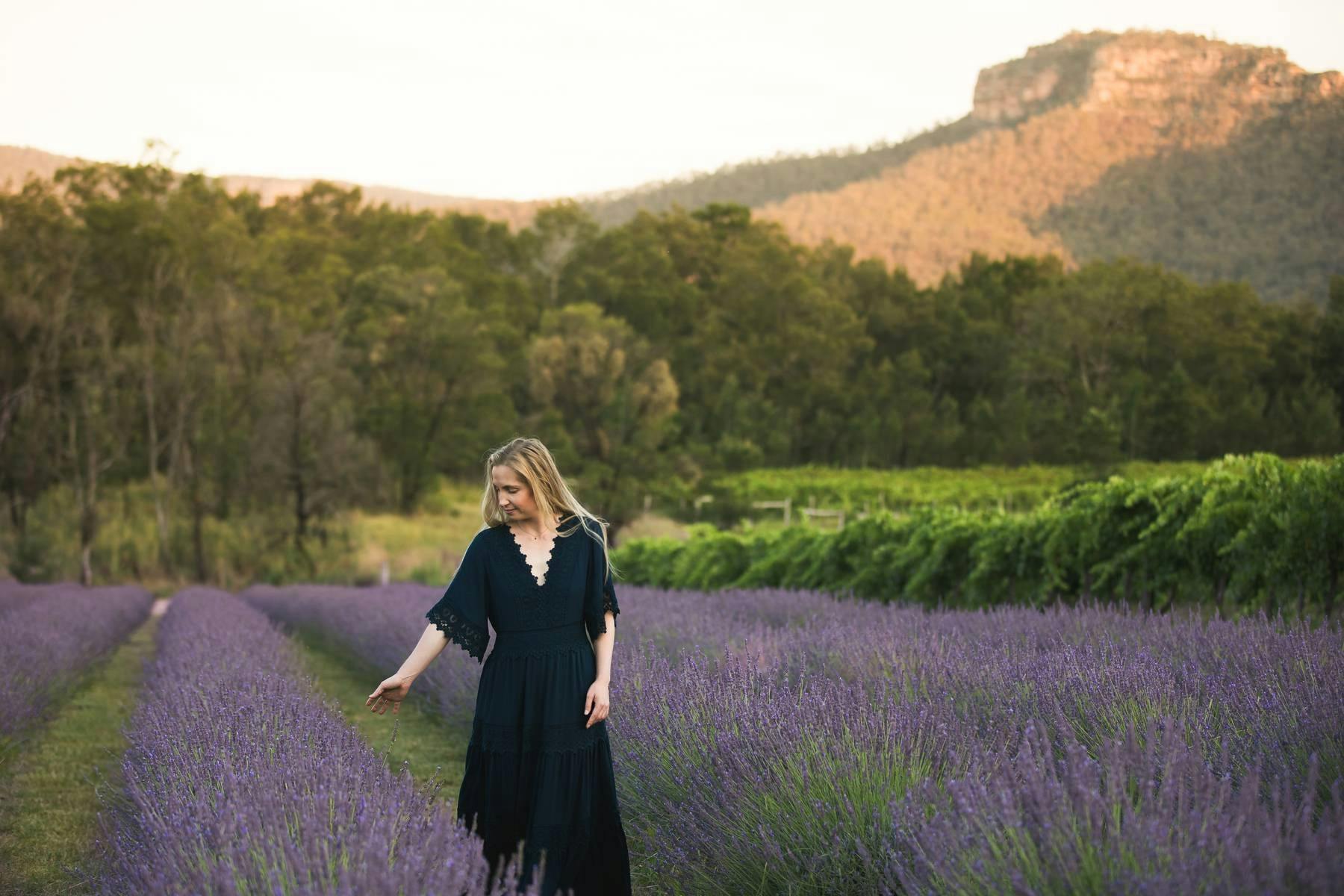 Sunset 2 Lavender Farm