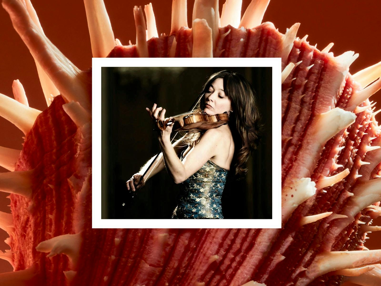 Musica Alchemica | Musica Viva Australia