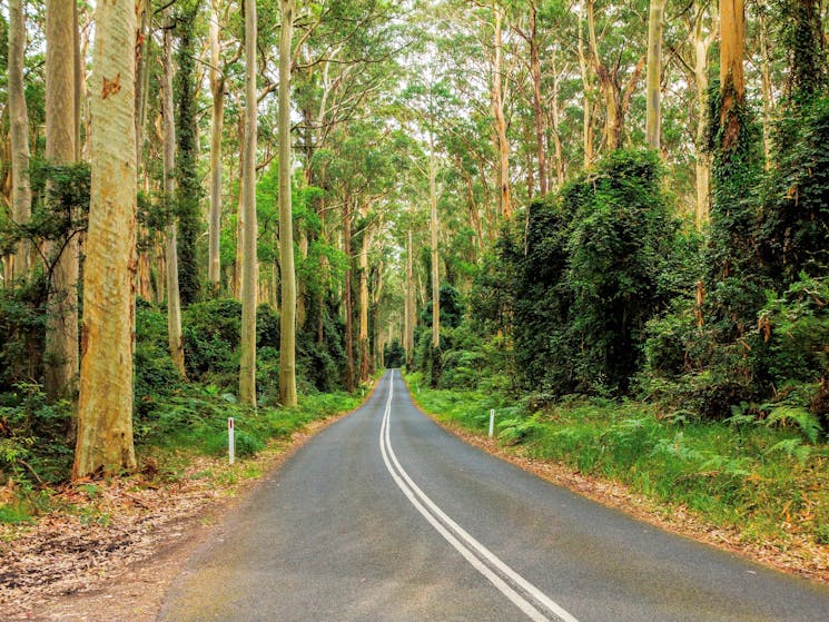 Murramarang National Park