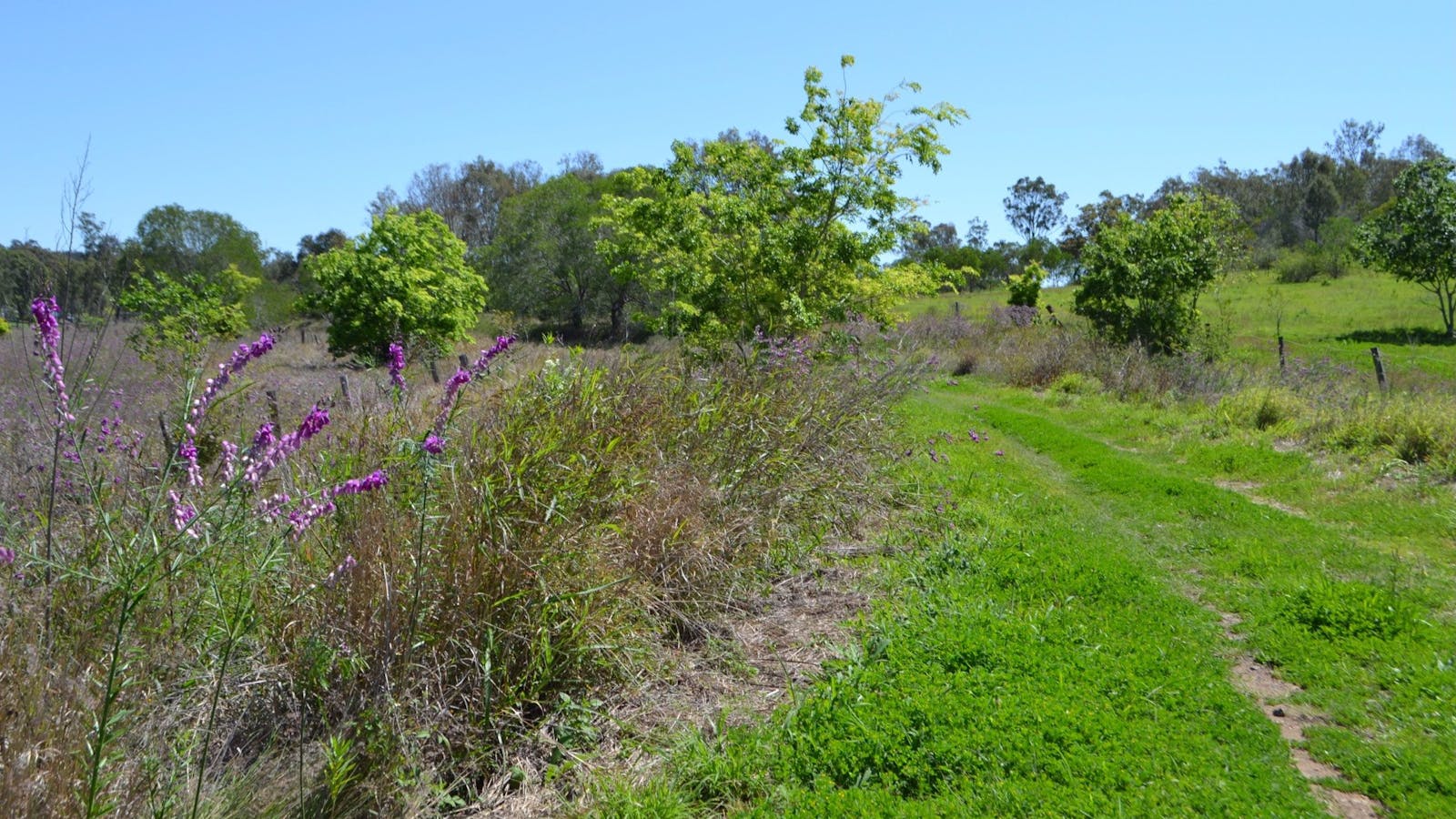 Brisbane Valley Rail Trail: Ipswich to Fernvale