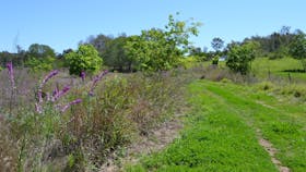 Brisbane Valley Rail Trail: Ipswich to Fernvale