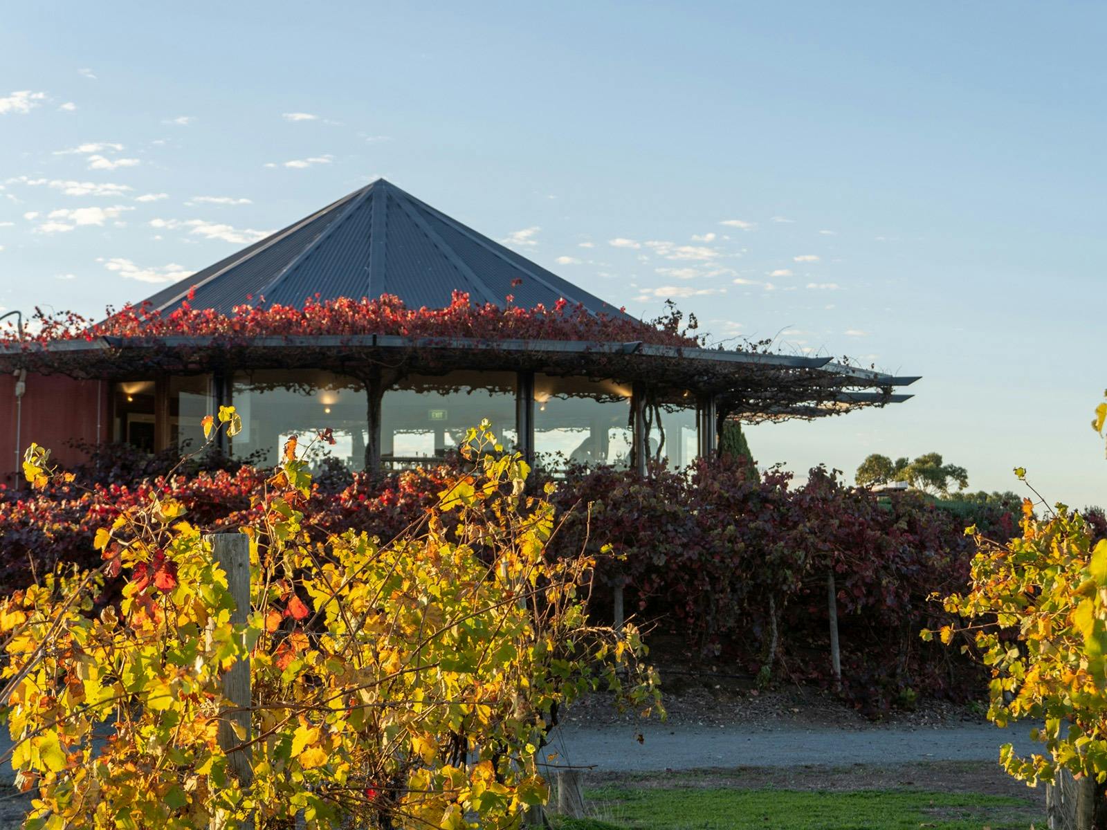 Hugh Hamilton Wines