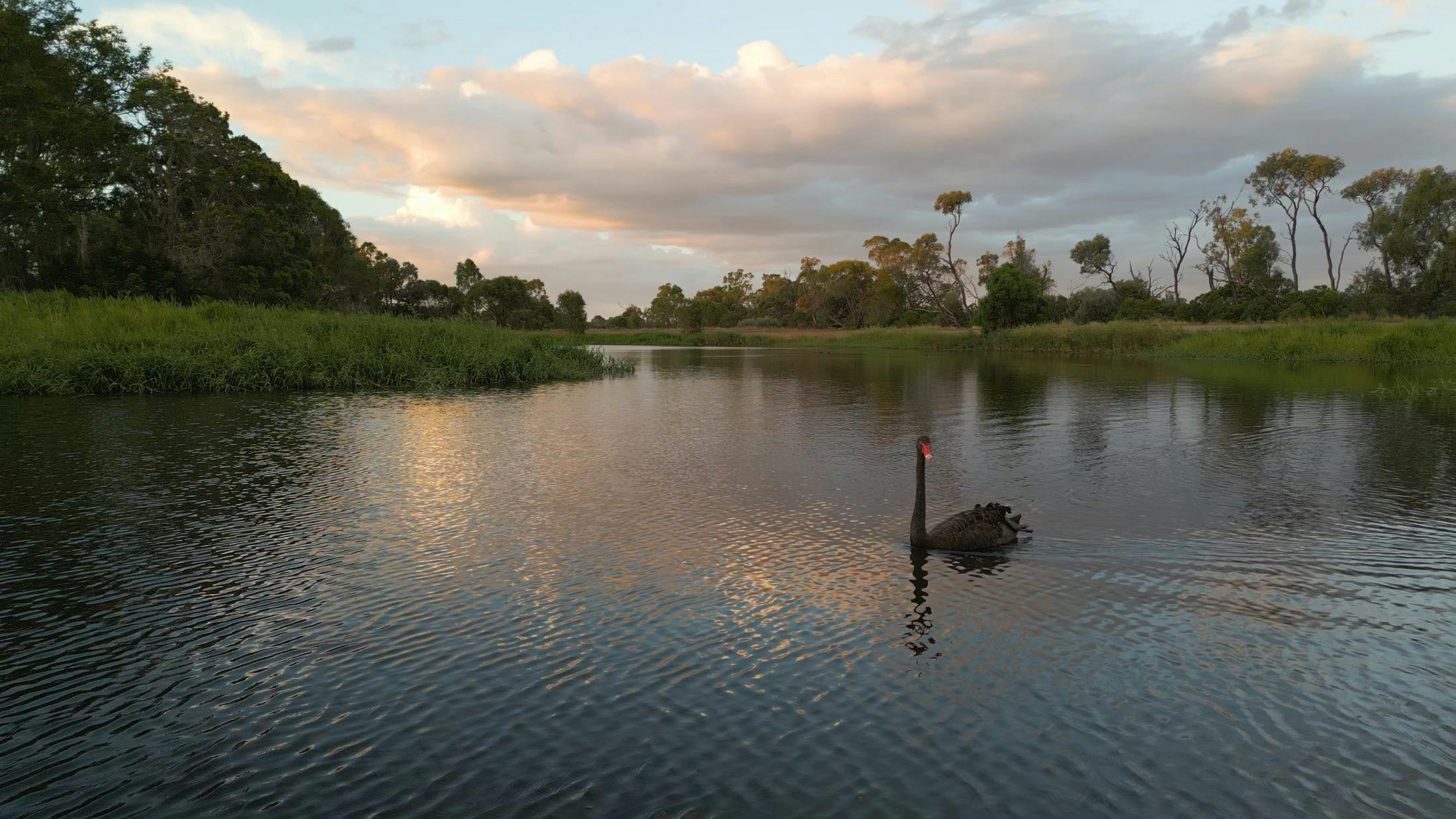 Serenity at its best!