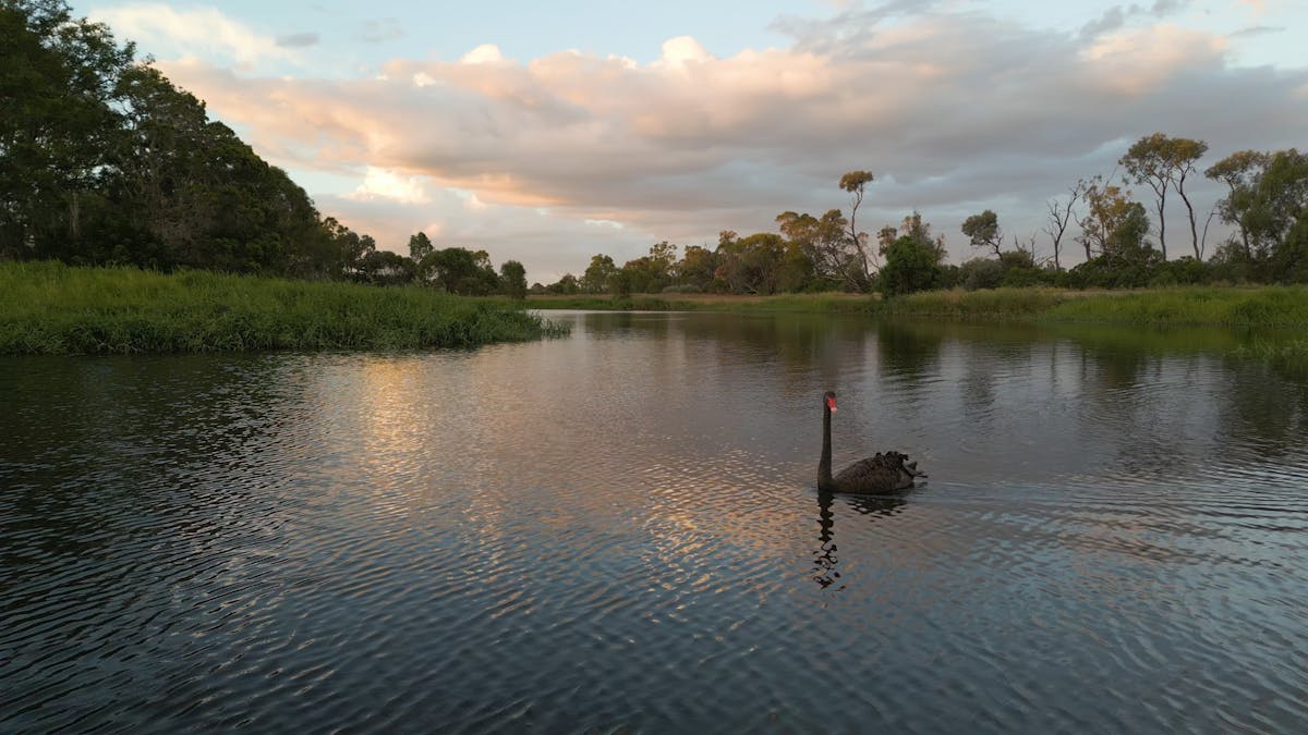 Water views on sunset at Waterloo Plain