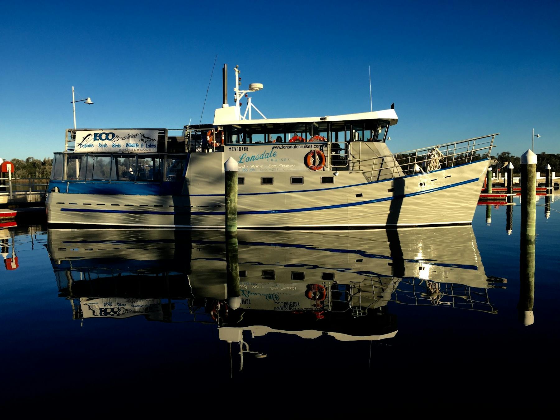 Looking good in the morning sun
