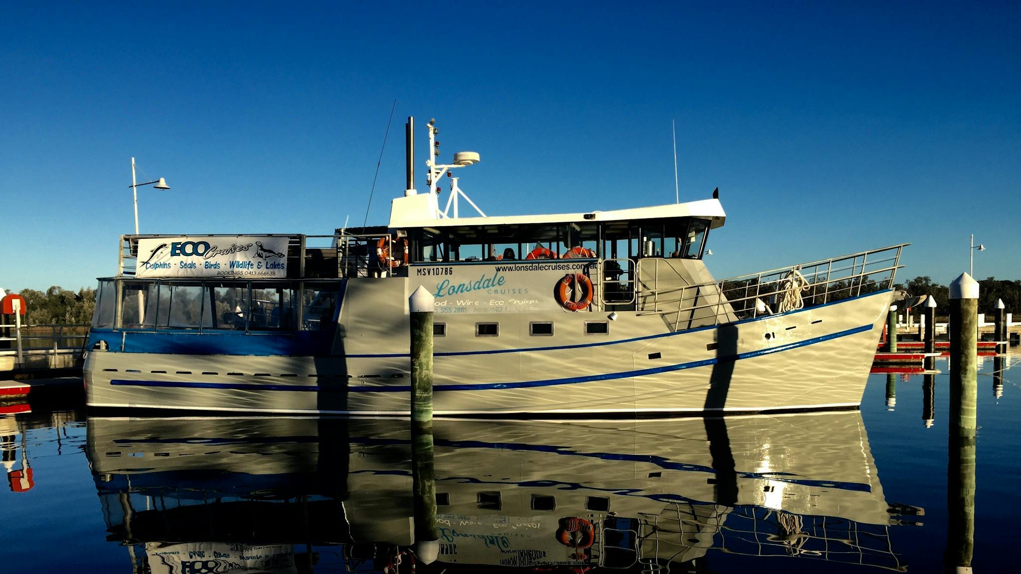 Looking good in the morning sun