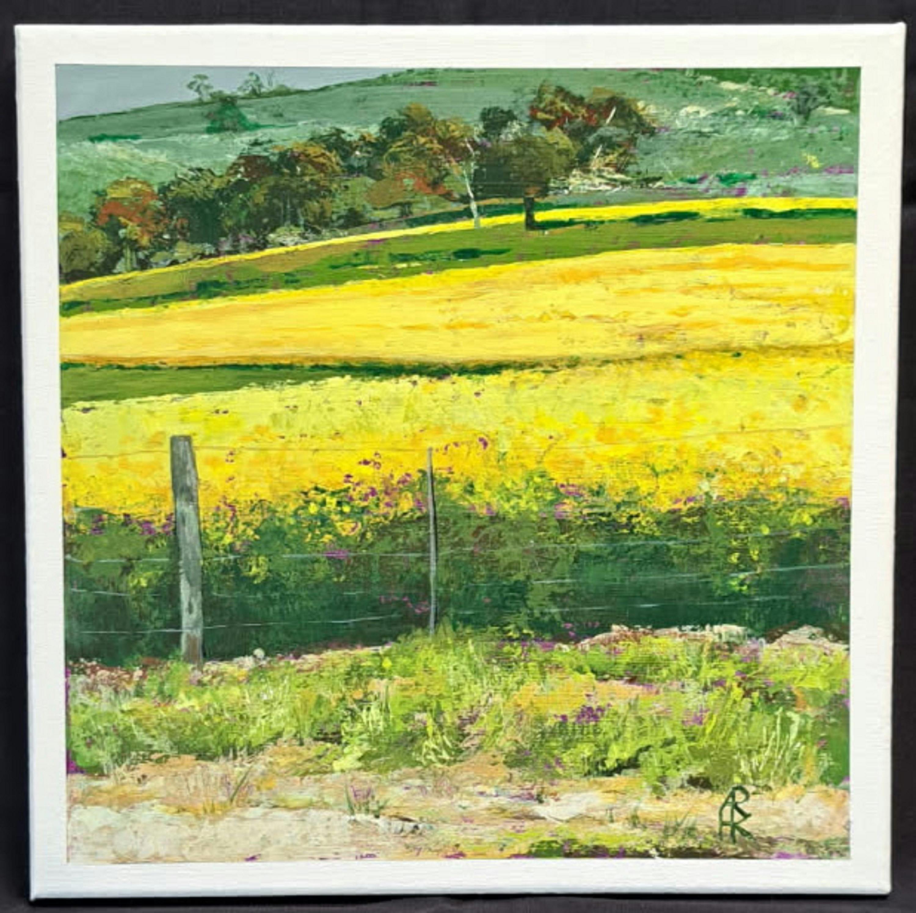 FIELDS OF GOLD