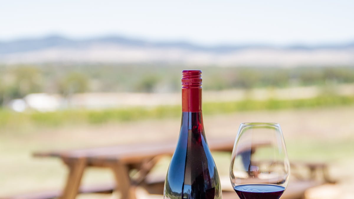 Merlot Wine
