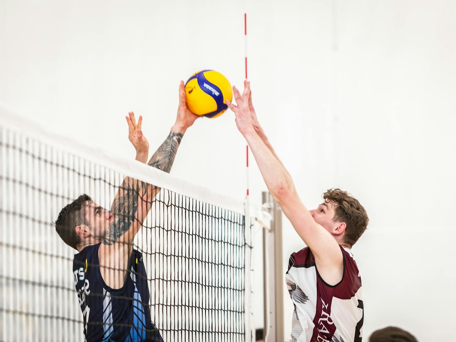 Image for Australian Club Volleyball Championships