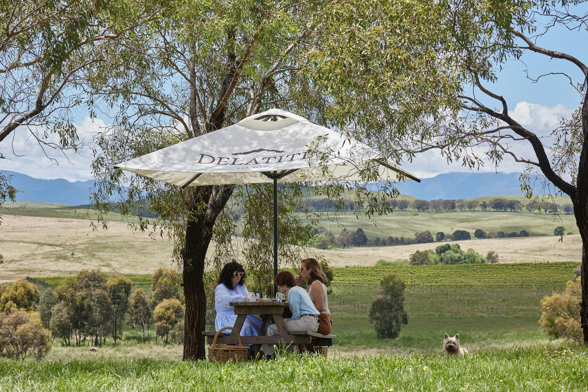 Three women sitting on a picnic table with an umbrella, under trees