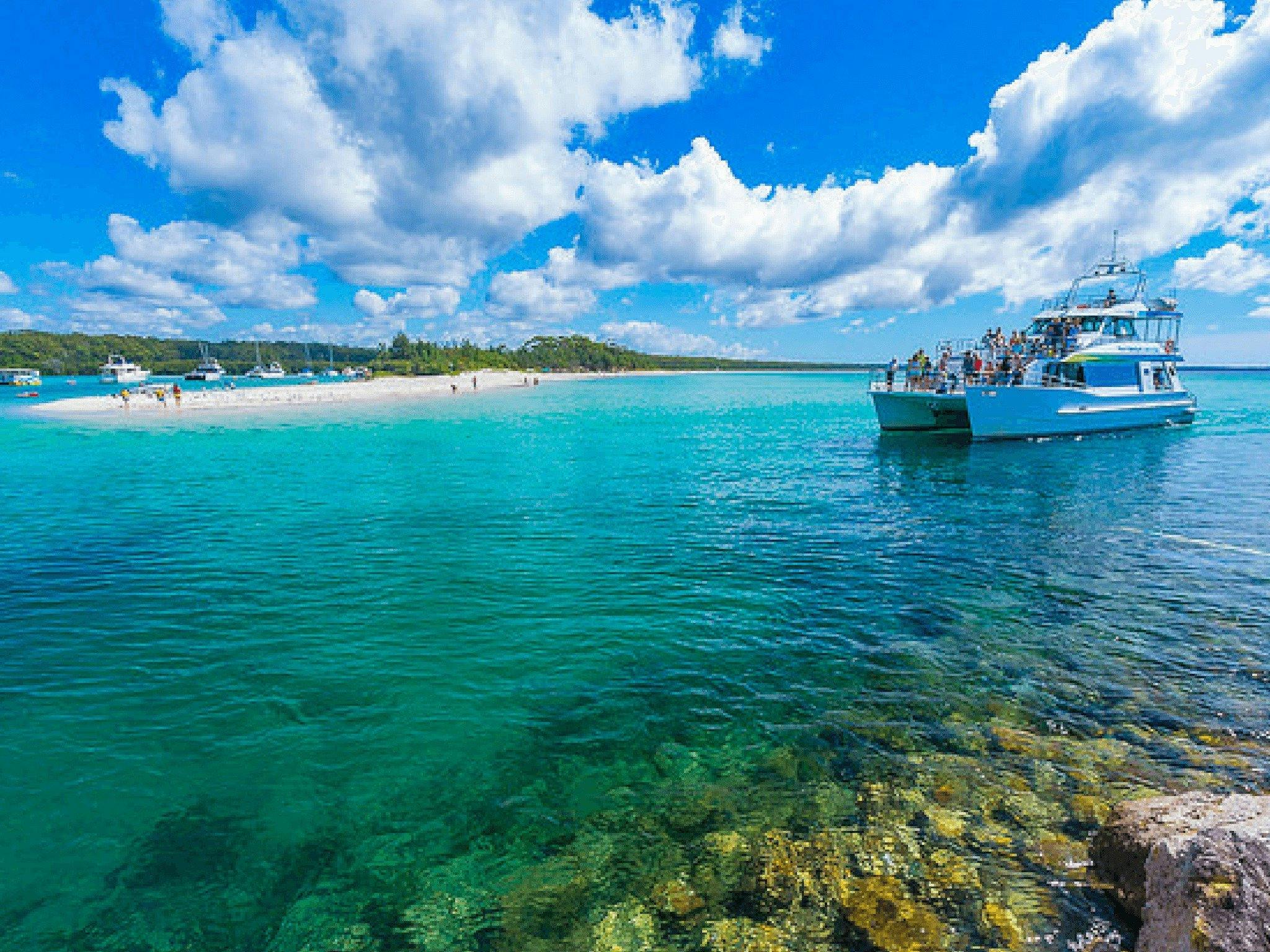 Cruise, boat, whale, dolphin, tour