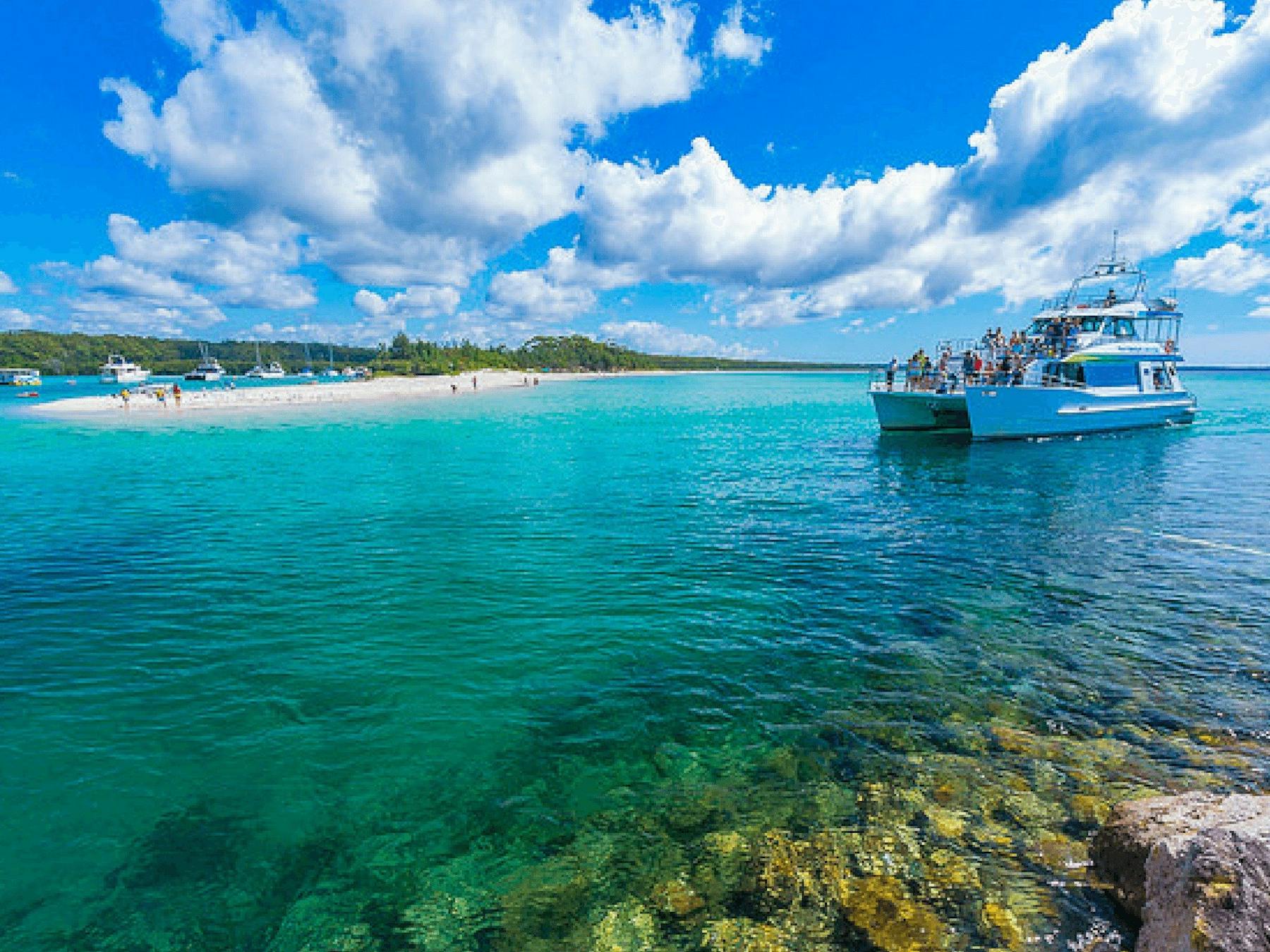 Cruise, boat, whale, dolphin, tour