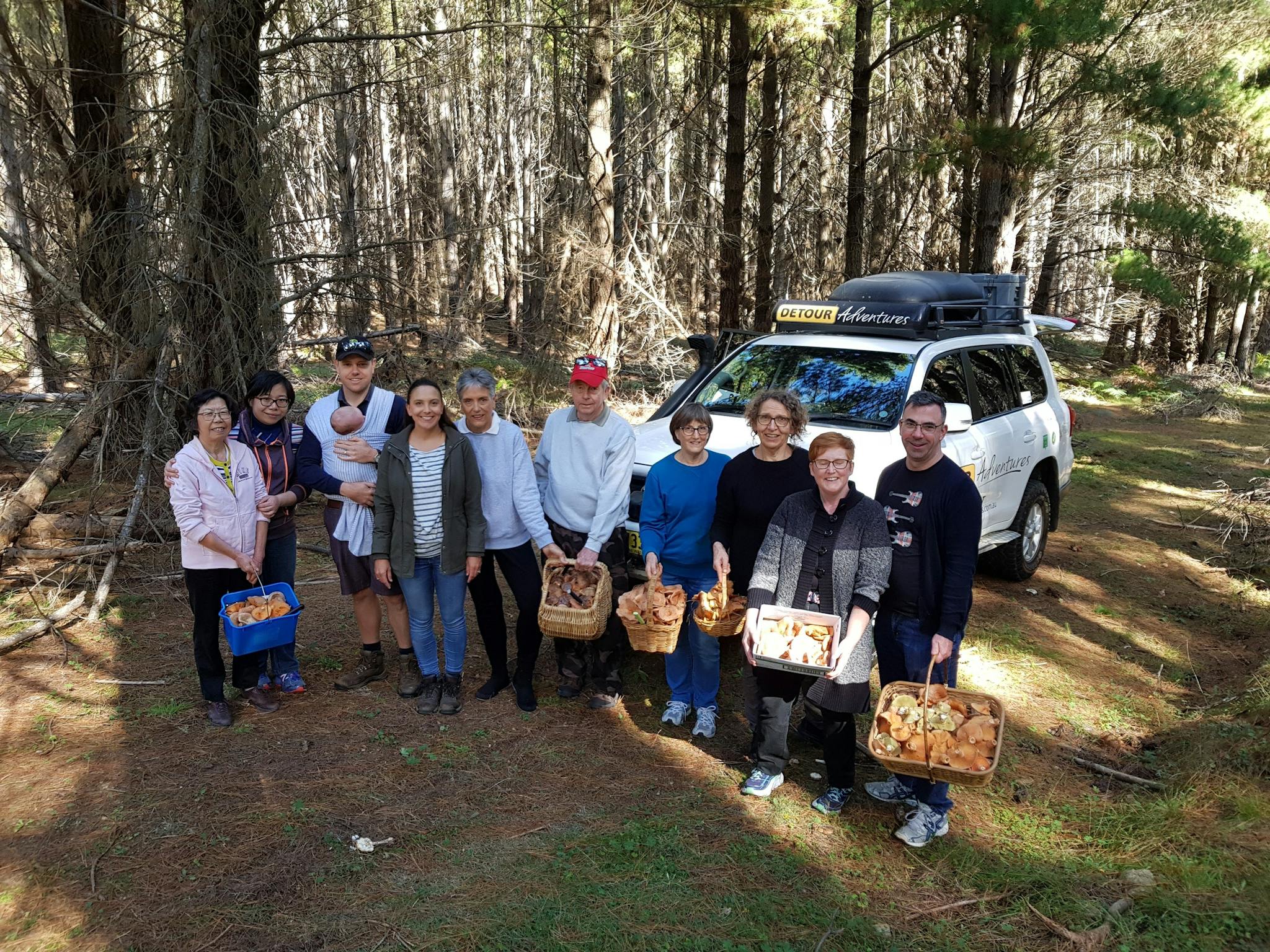 Field to Forest 4WD Foraging Experience Thumbnail