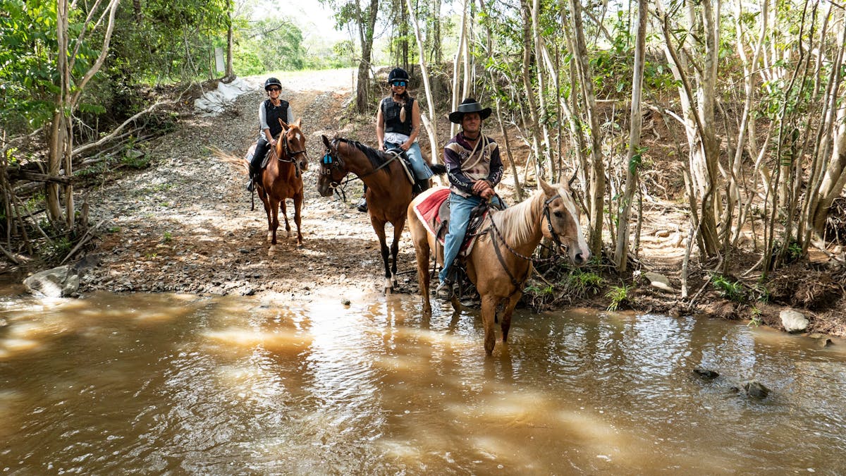 Horseriding