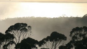 Vortex Healing Centre