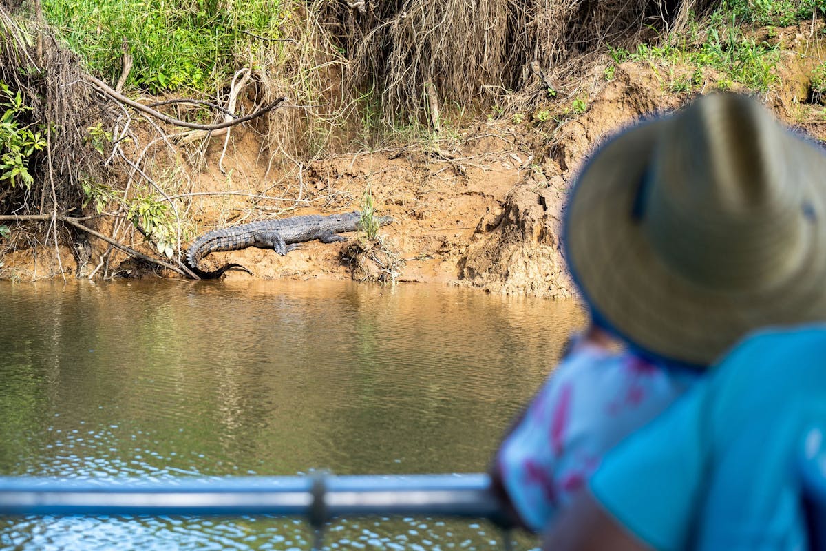 Passengers on river cruise, a saltwater crocodile is visible on the riverbank of the Daintree River