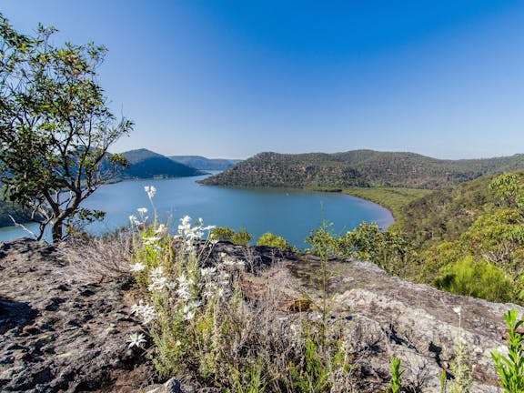 Coba Ridge to Collingridge Point walking track