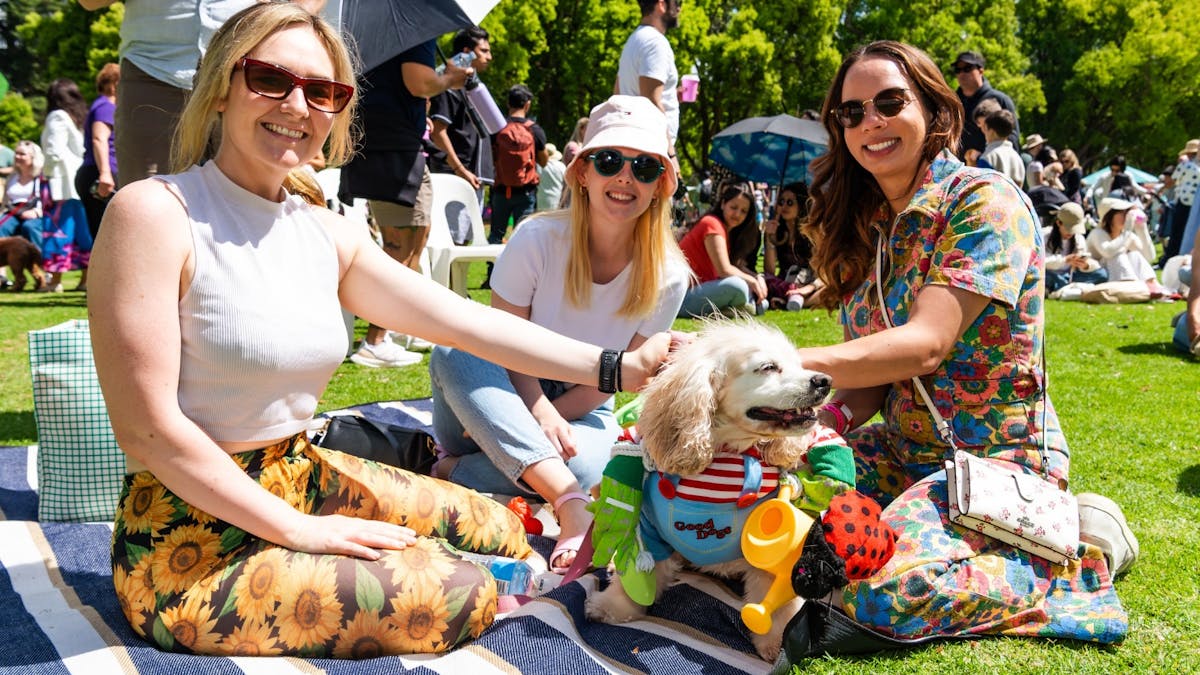 Three women sit on a picnic blanket in a park, patting a small costumed dog.