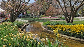 Corbett Gardens