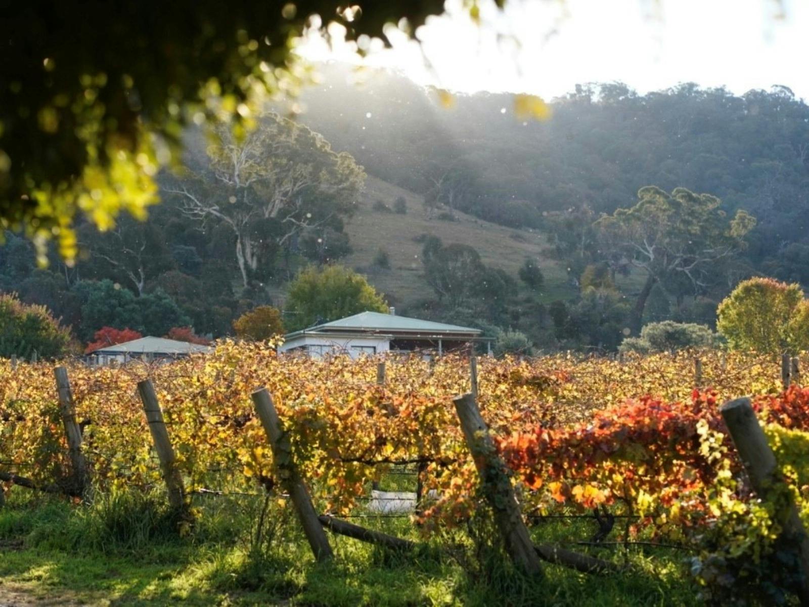 Lake George Winery Homestead