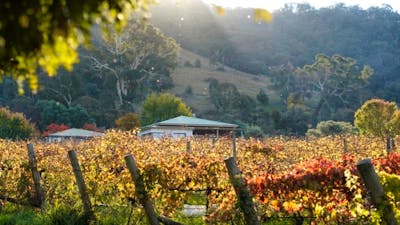 Home at Lake George Winery