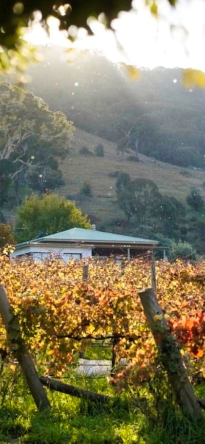 Home at Lake George Winery