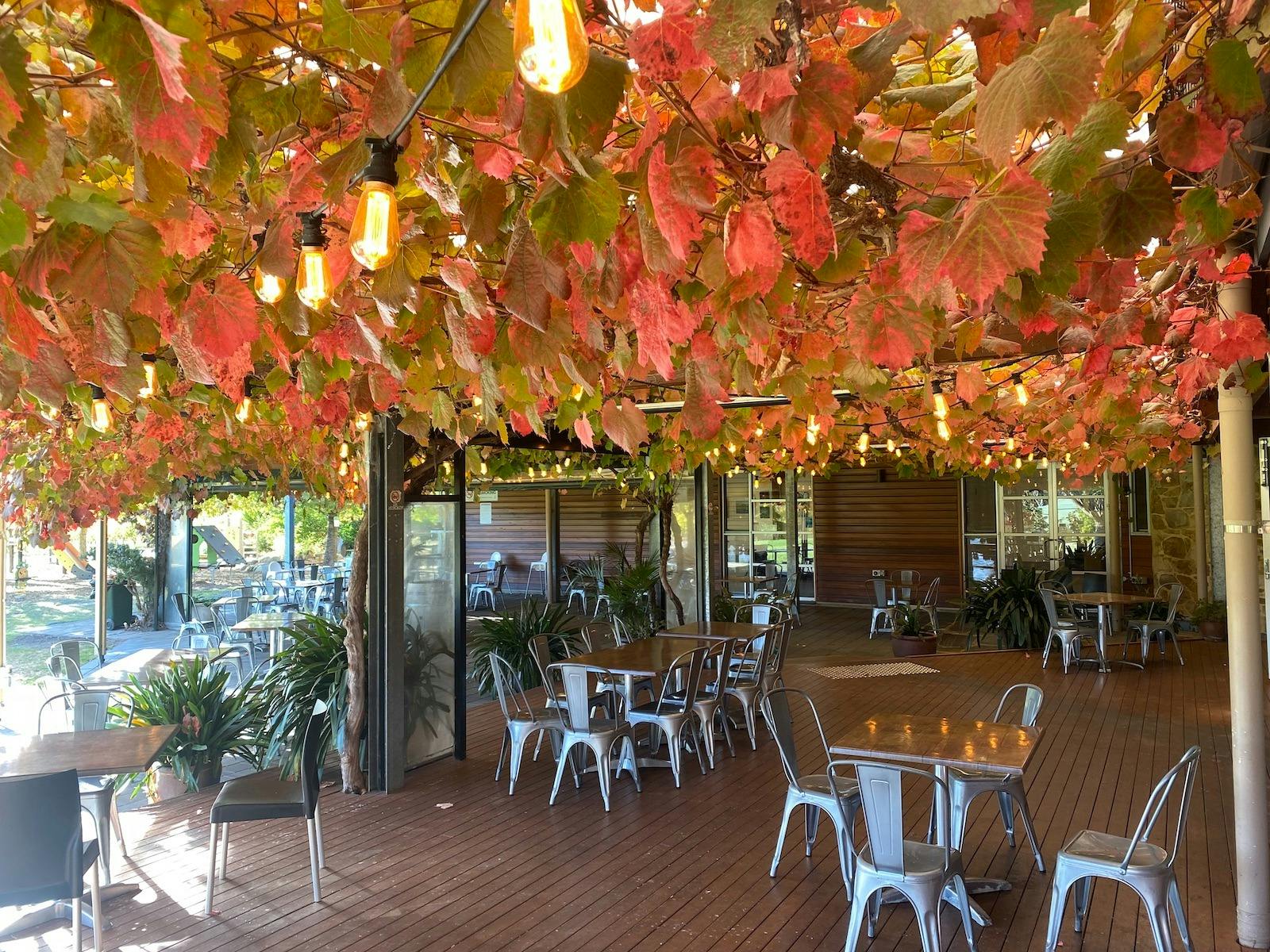 Visitor centre deck in Autumn