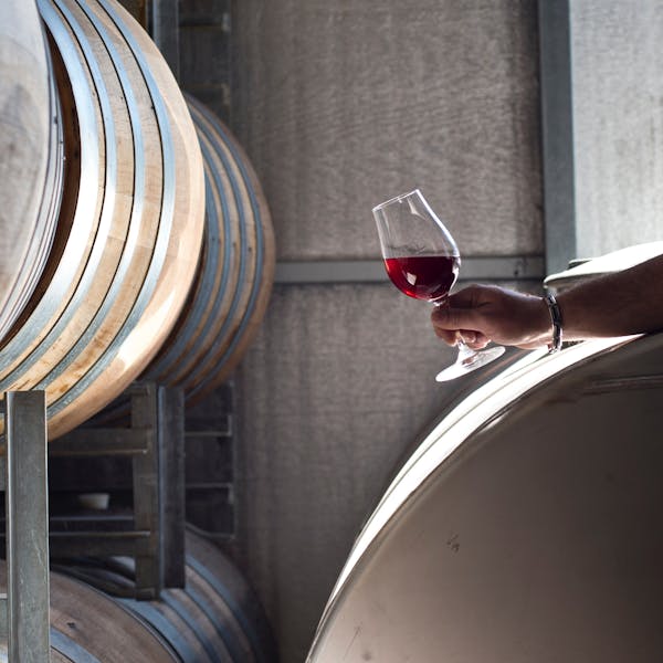The Glass Half Full Tours - Barossa