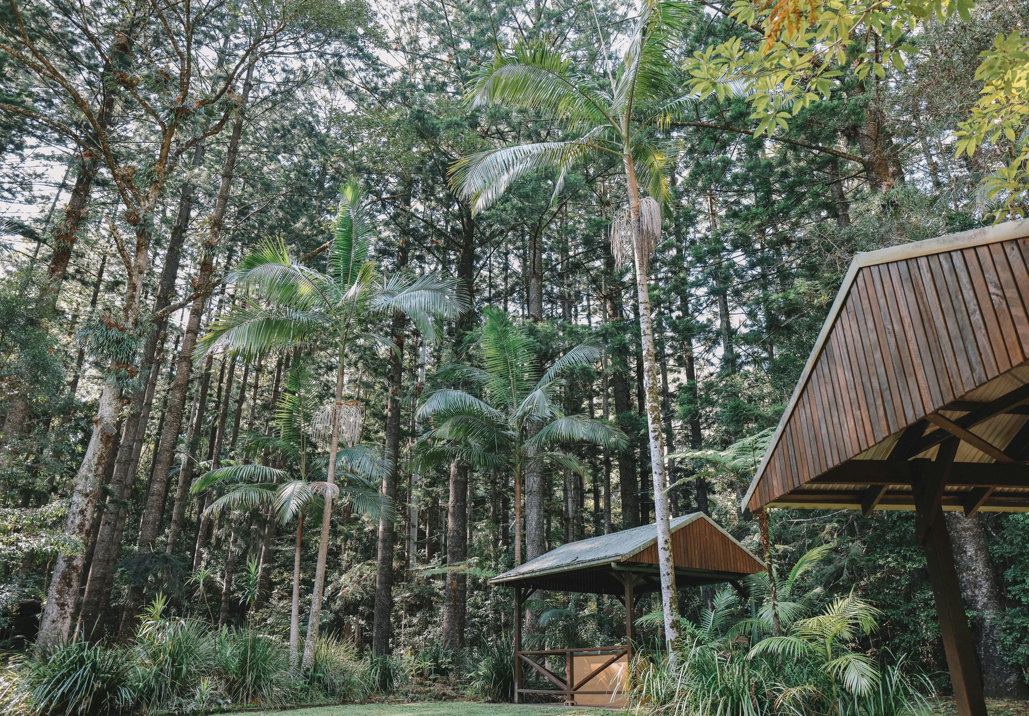 Macleay Valley Coast Art Trail Mid North Coast NSW Pines Picnic Area Mosaic