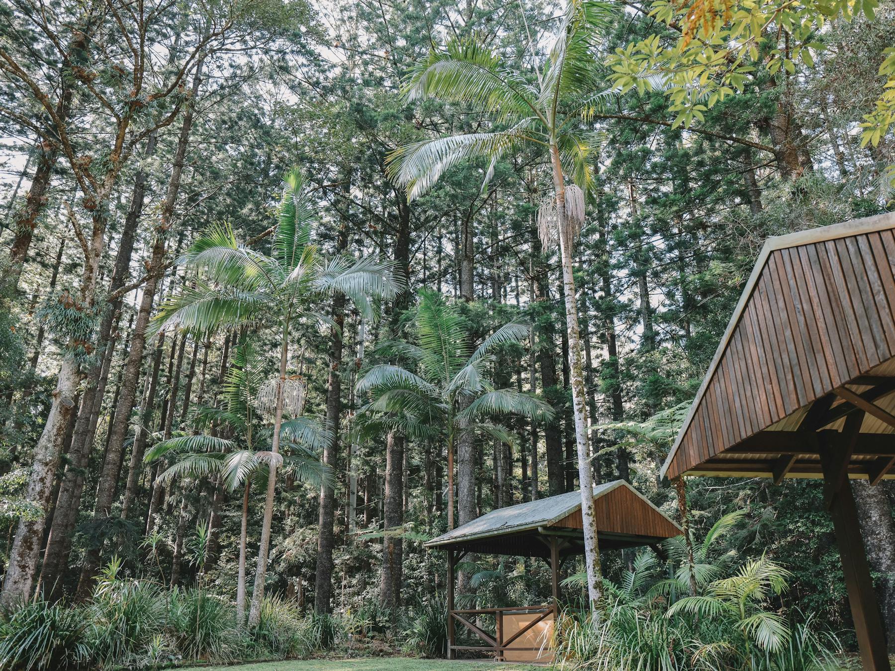 Macleay Valley Coast Art Trail Mid North Coast NSW Pines Picnic Area Mosaic