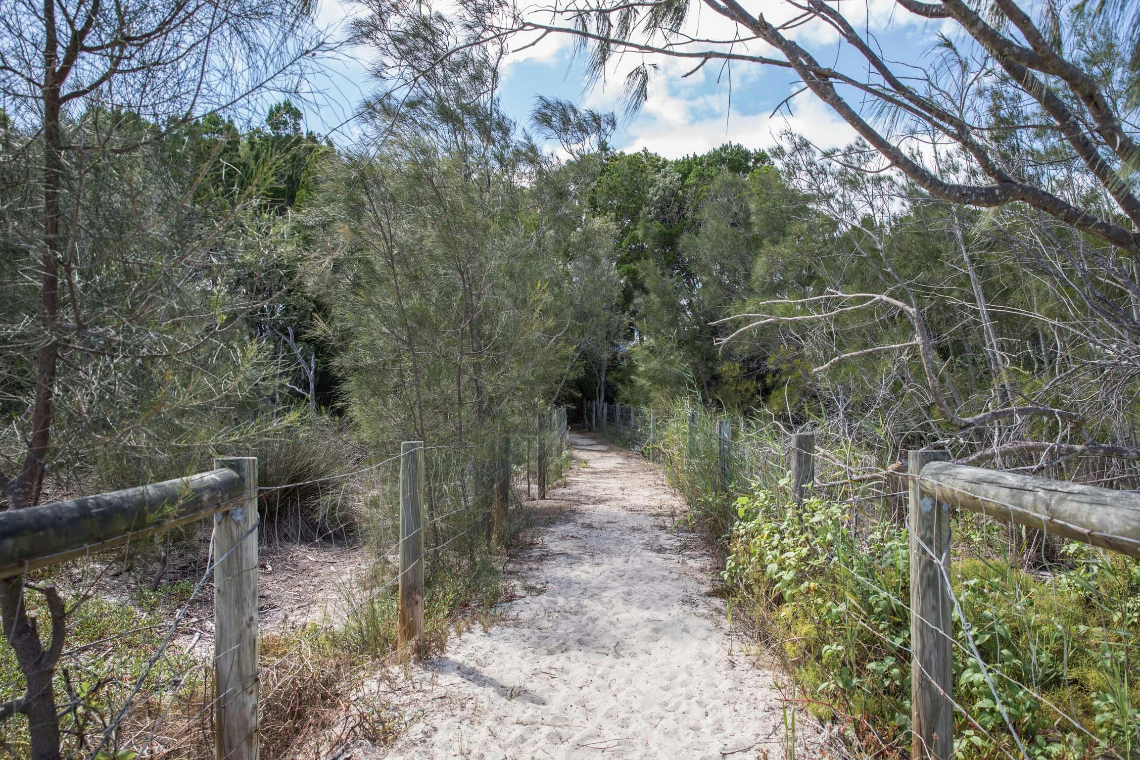 A sandy track in the Conservation Park.