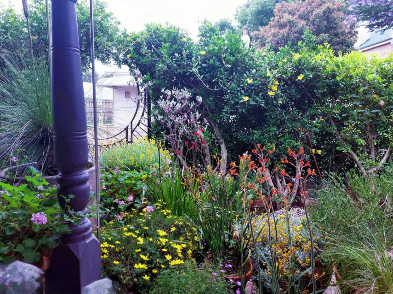 Maitland Garden Ramble 2025