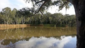 Sturt Gorge Recreation Park