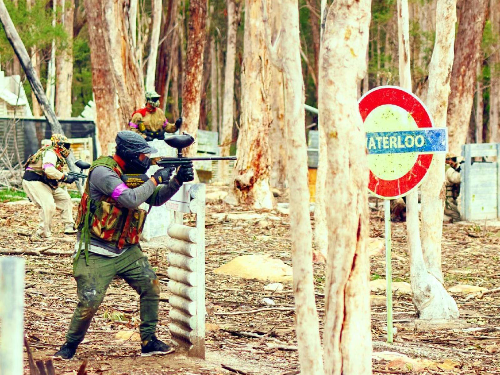 Searching for Napoleon