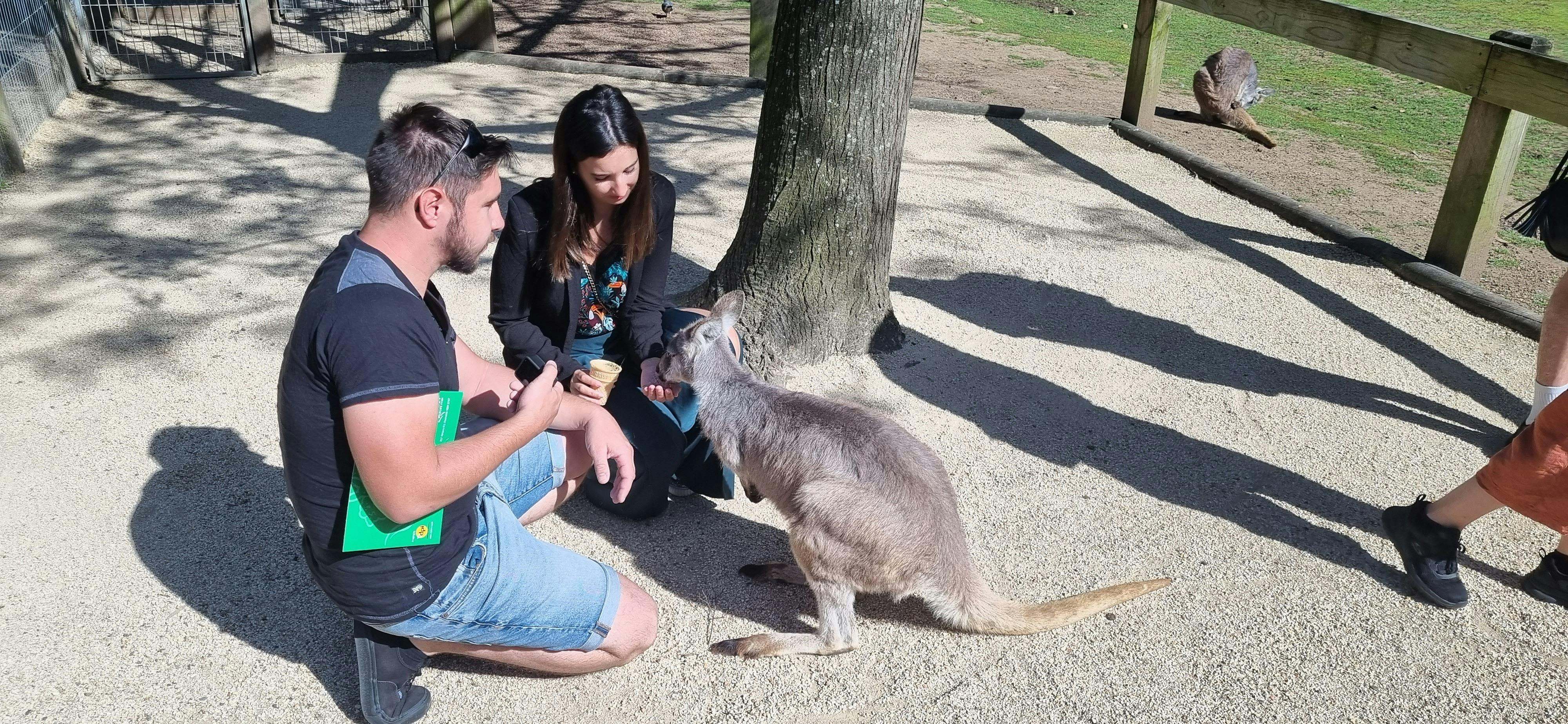 Blue Mountains Private Tours