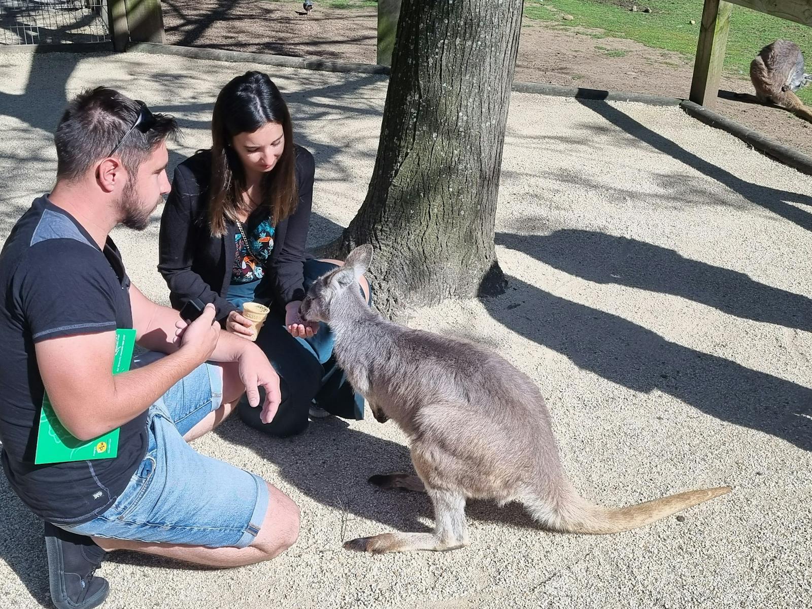 Blue Mountains Private Tours