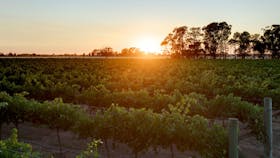De Bortoli Wines Bilbul