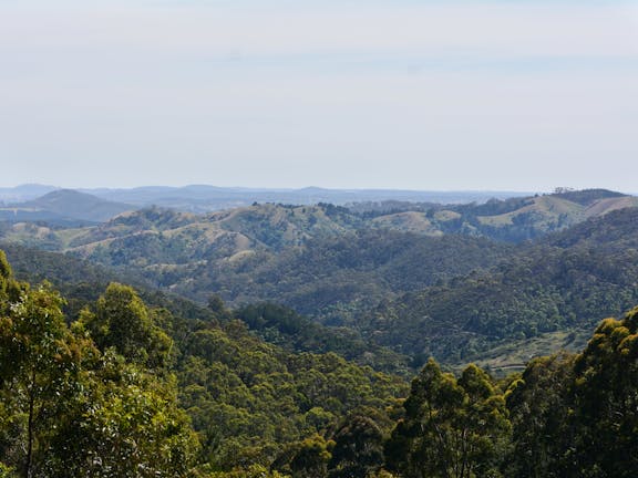 Mount Crawford Forest Reserve