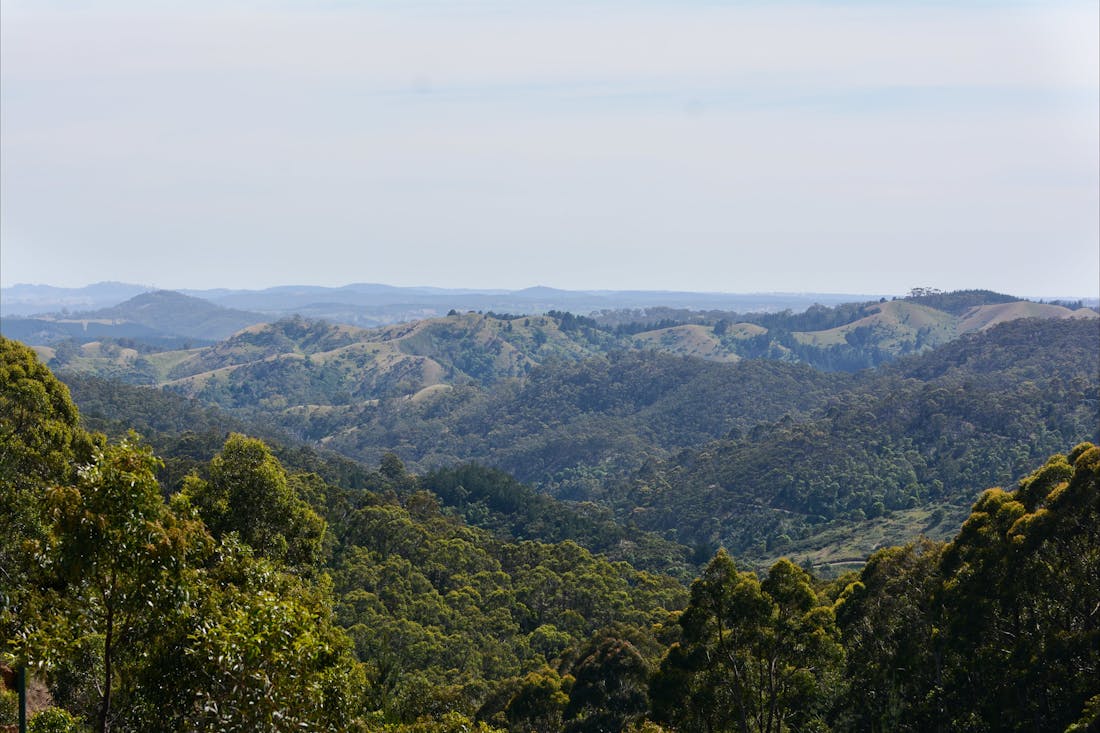 Mount Crawford Forest Mount Crawford, Attraction South Australia
