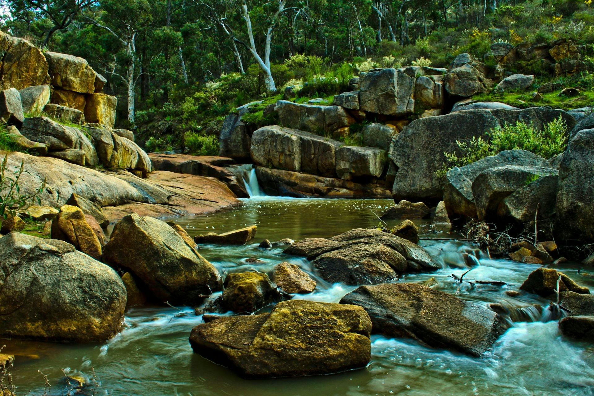 Kalamunda National Park