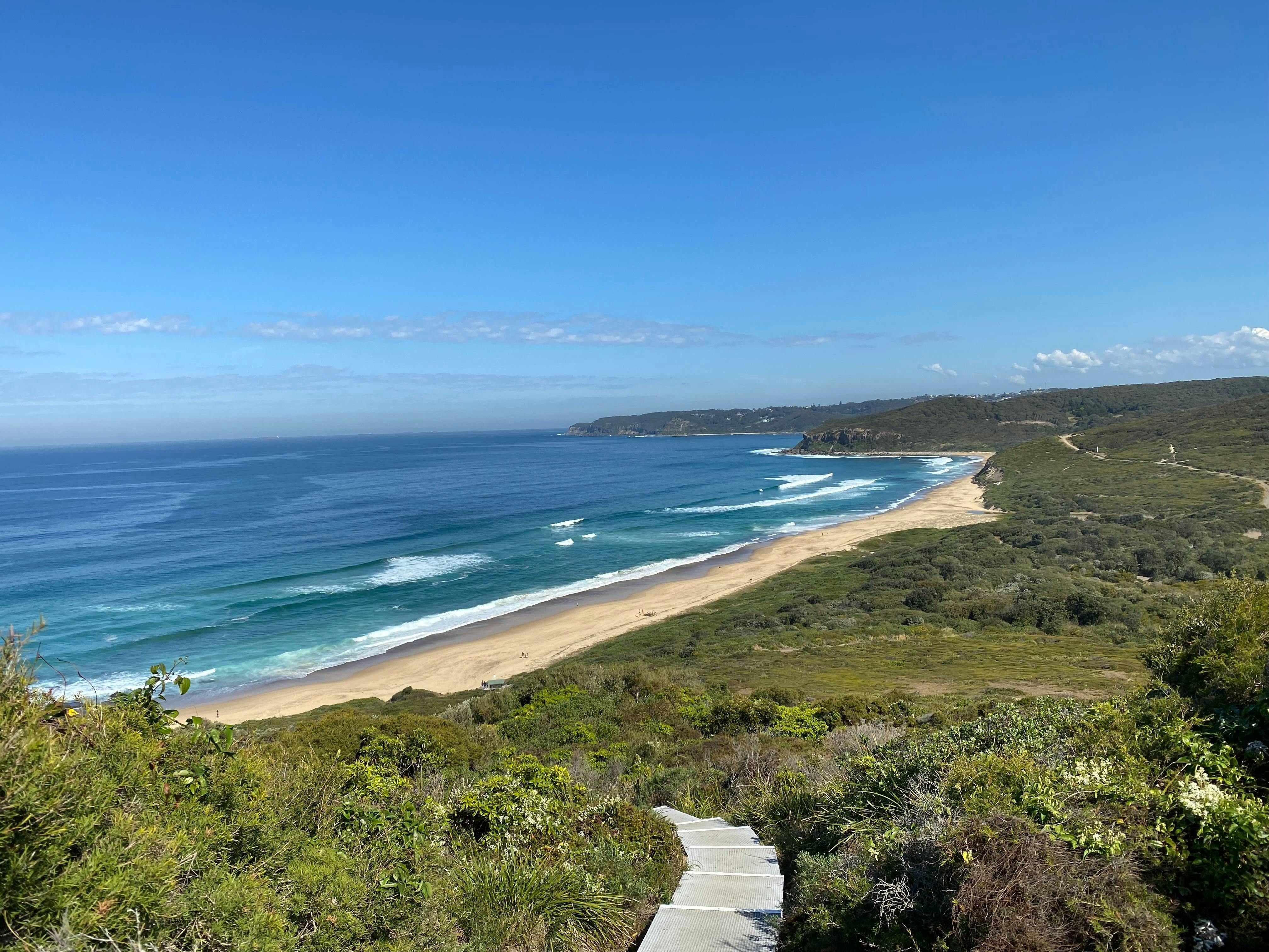 Looking from a boardwalk off Hickson Street towards Burwood Beach and Glenrock Lagoon