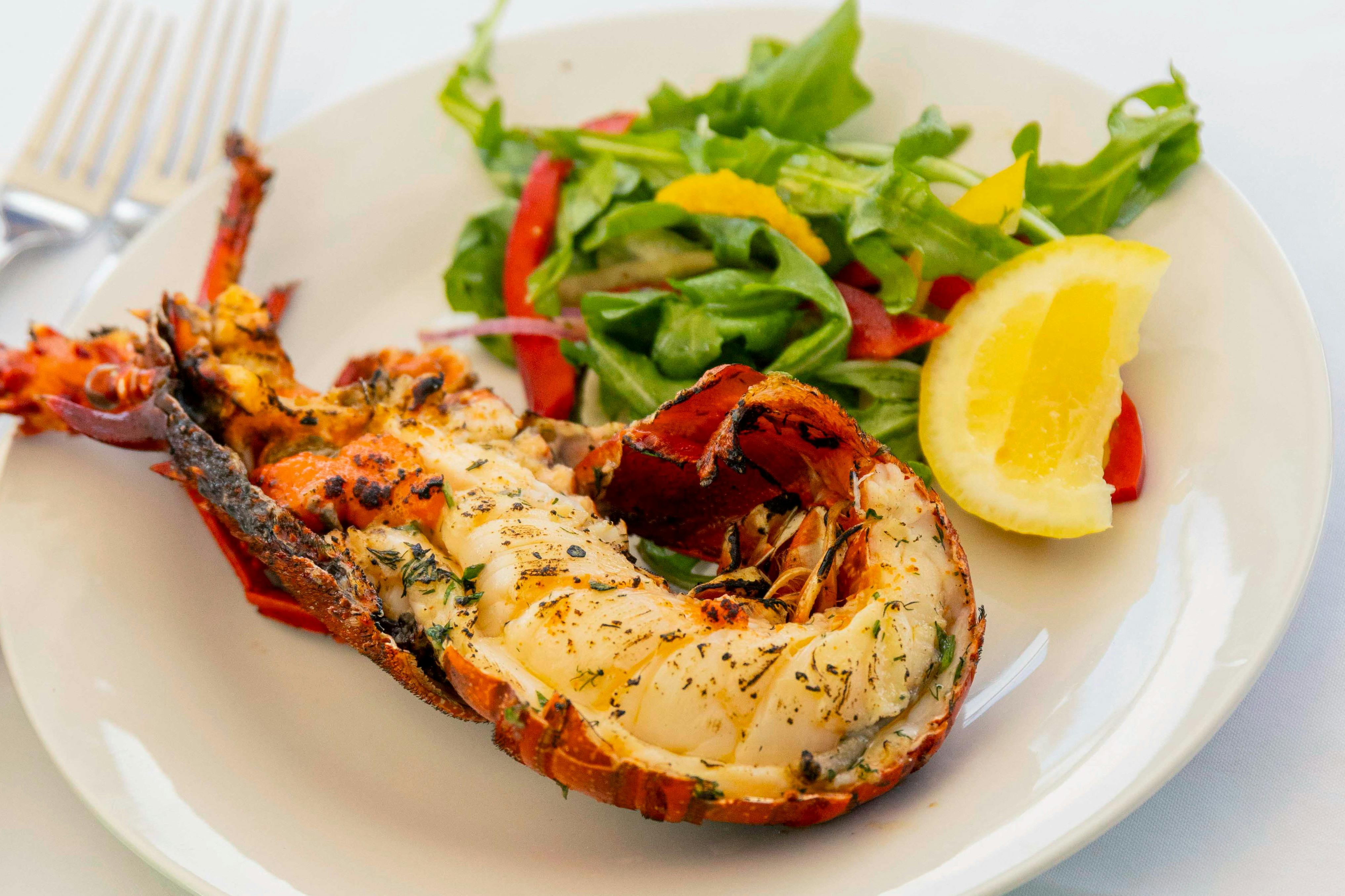 Western Rock Lobster