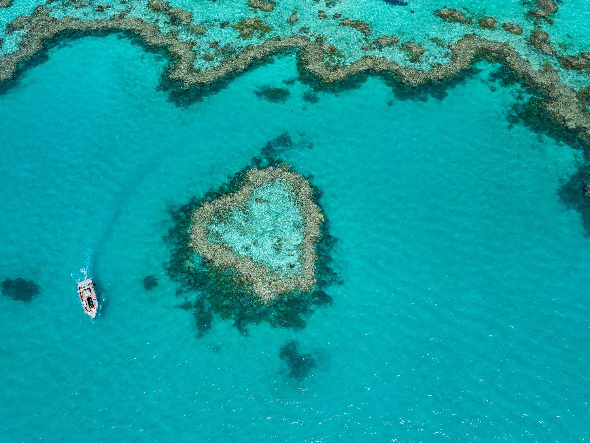 Aerial view showing a boat close to the heart reef and surrounding coral in sea Aerial view showing a boat close to the heart reef and surrounding coral in sea