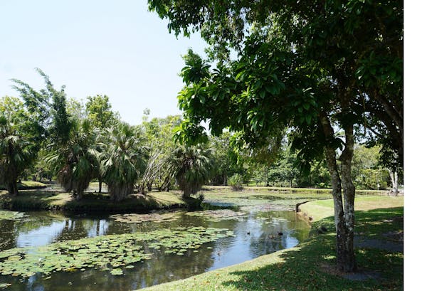 Warrina Lakes