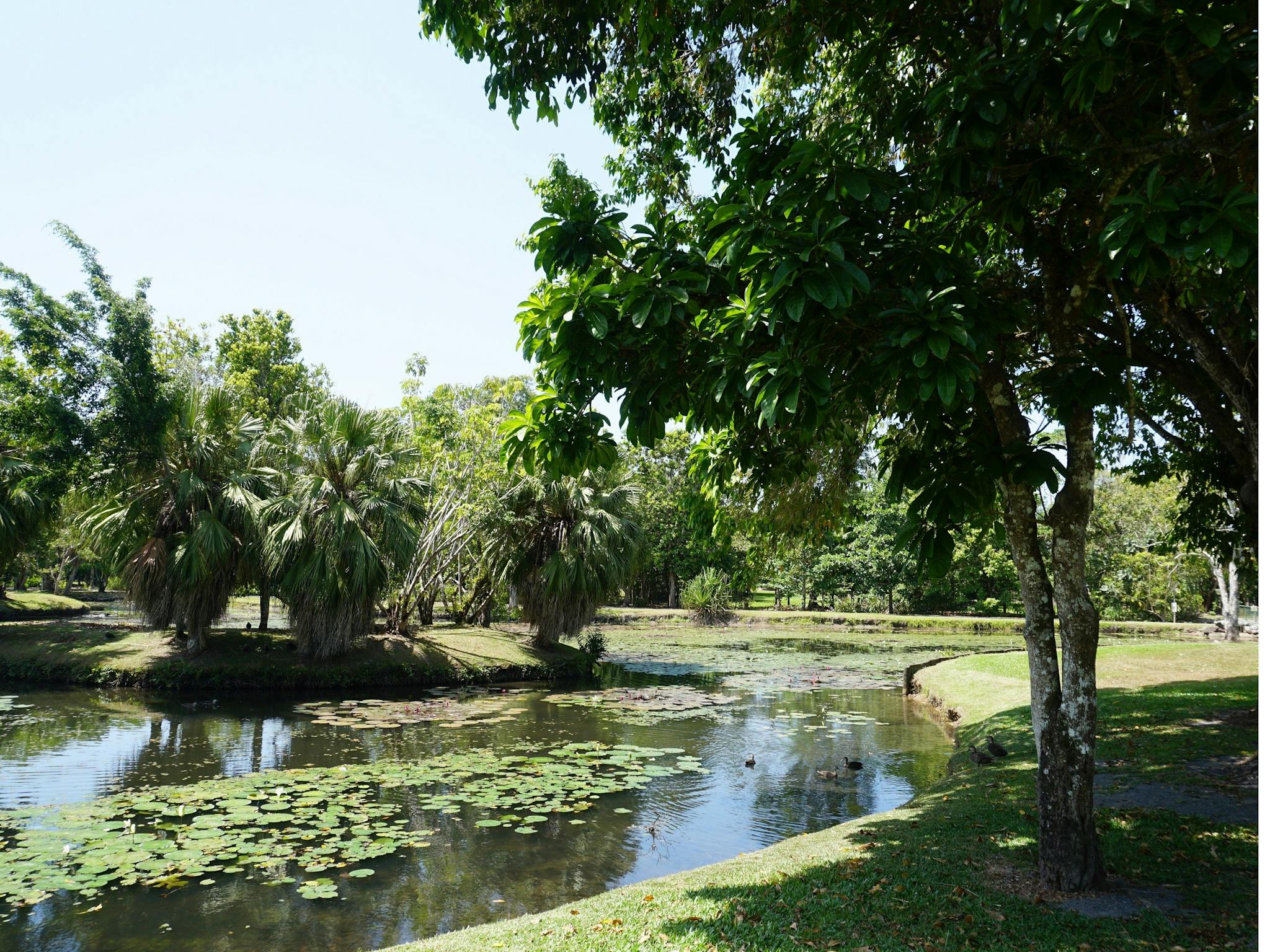 Warrina Lakes Innisfail Cassowary Coast Tropical North Queensland Cairns