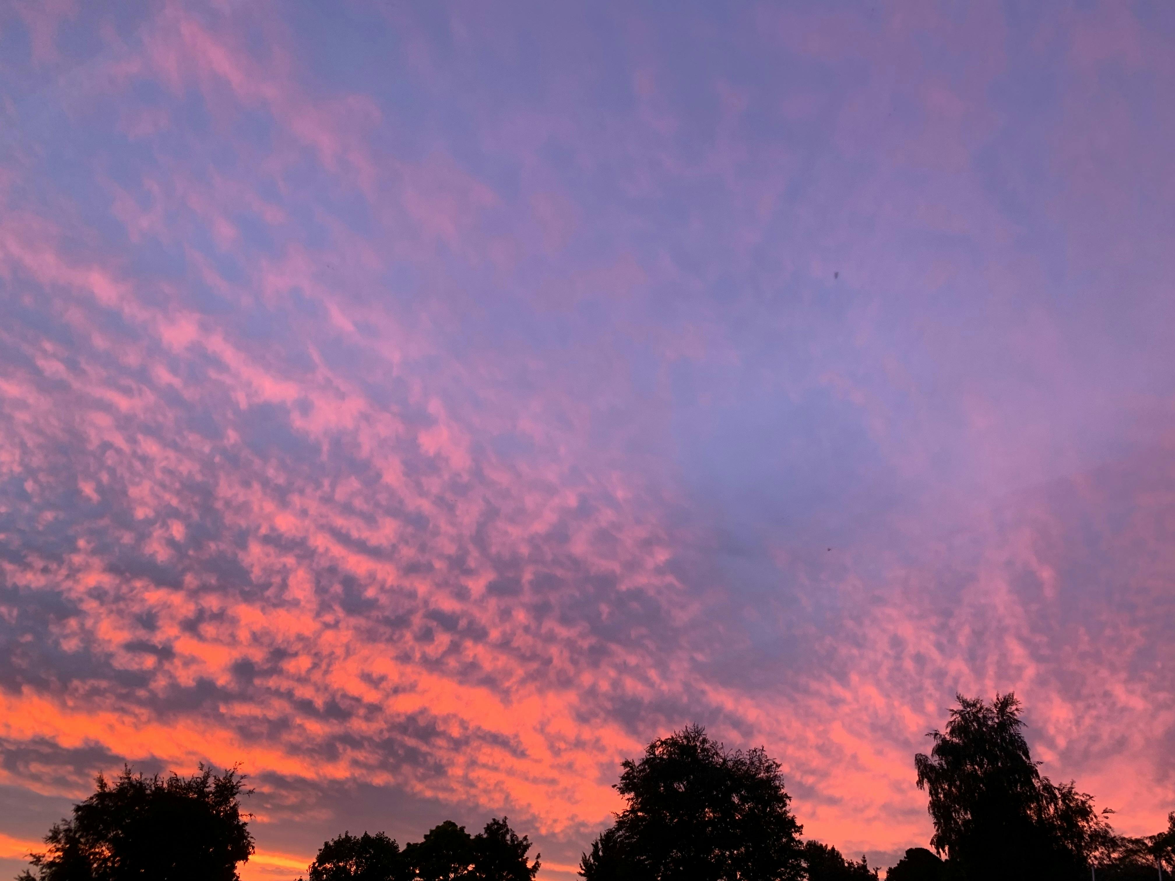 Spring Hill의 찬란한 일몰 색상