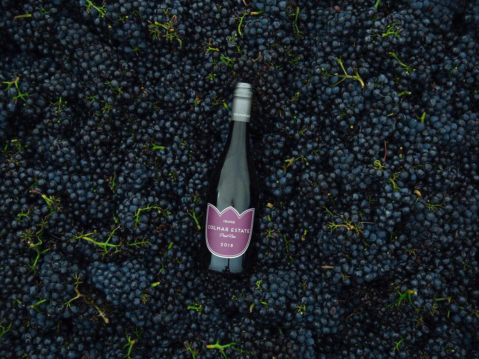 Photo of a bottle of Colmar Estate Pinot Noir in red wine grapes